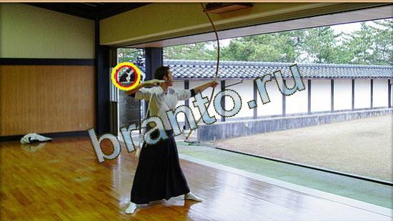 Игра Где же кот подсказки Уровень 3658