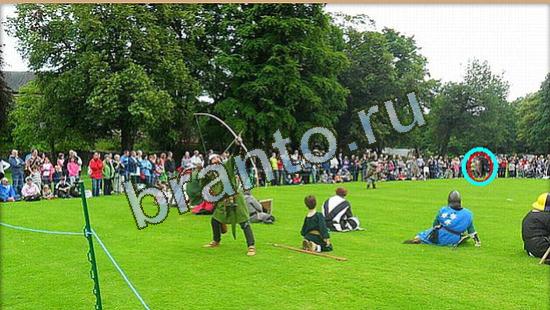 игра Где же кот помощь Уровень 3659