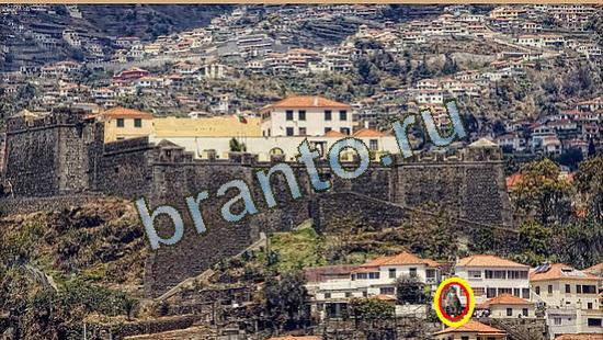 Прохождение игры Где же кот Уровень 3664