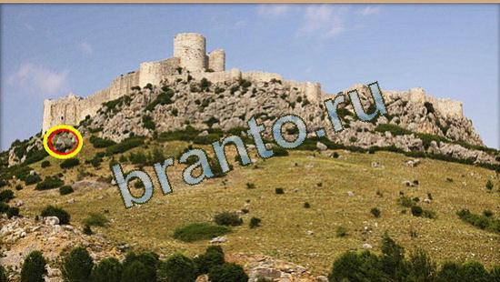 ответы Где же кот Уровень 3665