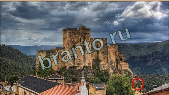 решения для игры Где же кот Уровень 3668