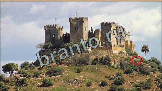 Где же кот игра ответы Уровень 3669