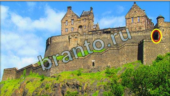 Где же кот ответы в одноклассниках Уровень 3679