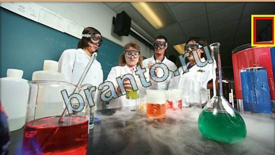 Решения на игру Где же кот Уровень 3683