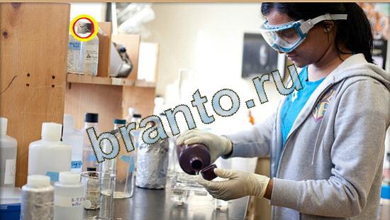 Помощь на игру Где же кот Уровень 3684