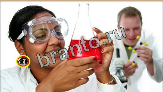 ответы к игре Где же кот Уровень 3685