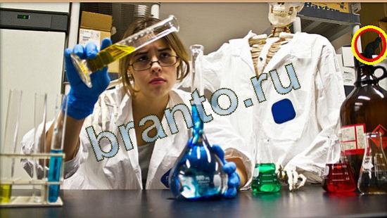 ответы на игру в одноклассниках Где же кот Уровень 3686