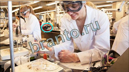 Где же кот игра ответы в одноклассниках Уровень 3687