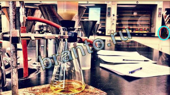 Где же кот? ответы Уровень 3688