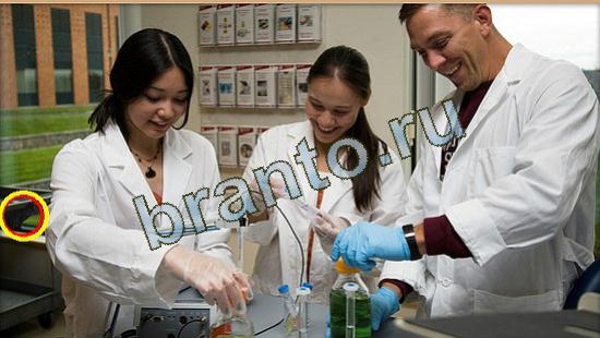 Где же кот игра подсказки Уровень 3694