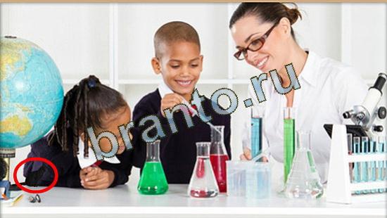 Где же кот игра помощь Уровень 3695