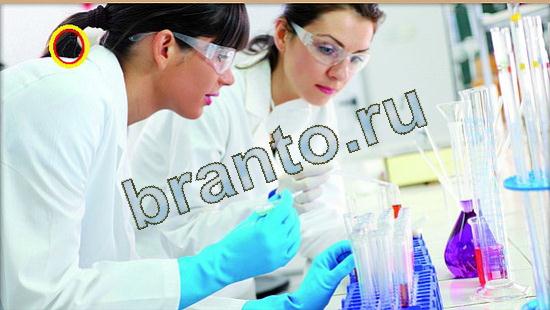 Игра Где же кот ответы Уровень 3697