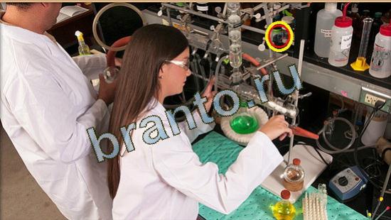 Игра Где же кот подсказки Уровень 3698