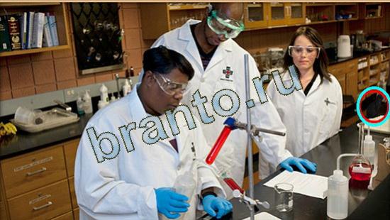 игра Где же кот помощь Уровень 3699