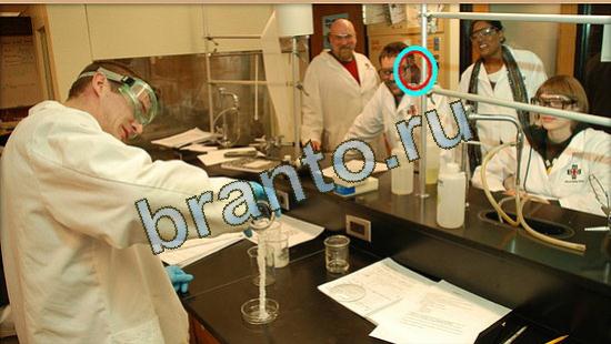 Игра Где же кот прохождение Уровень 3700