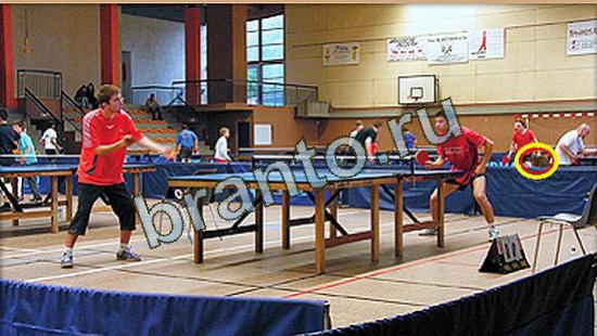 прохождение на игру Где же кот Уровень 3701