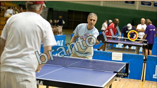 Где же кот прохождение игры Уровень 3702