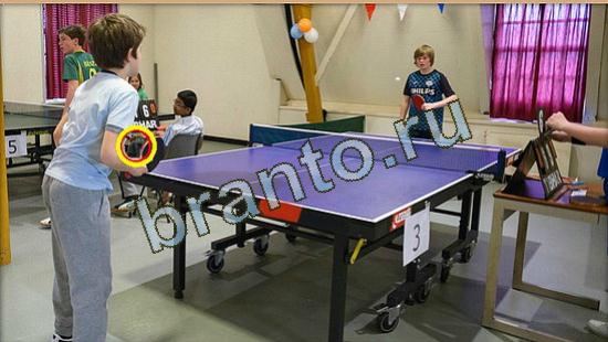 ответы на игру Где же кот в одноклассниках Уровень 3703