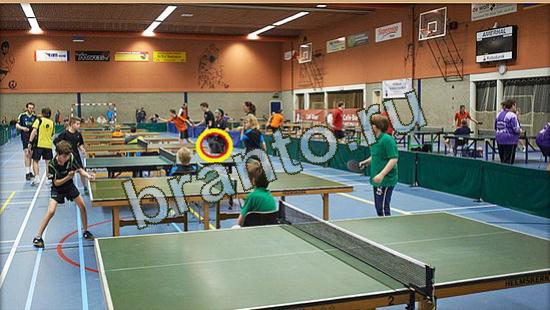 Прохождение игры Где же кот Уровень 3704