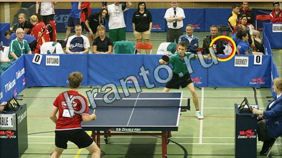 ответы Где же кот Уровень 3705