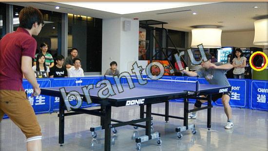 ответы Где же кот? в одноклассниках Уровень 3706