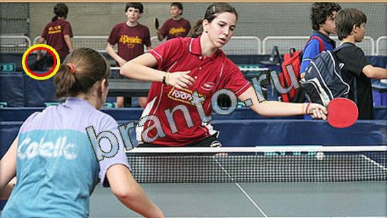 ответы для игры Где же кот Уровень 3707