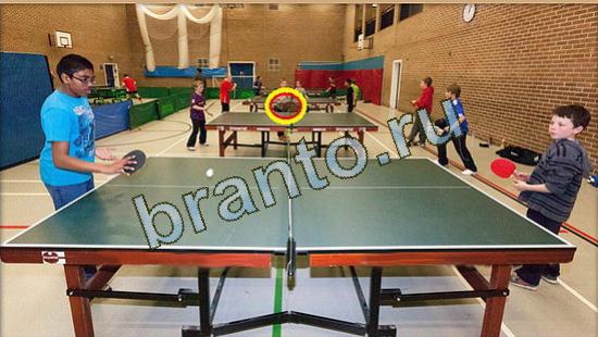 решения для игры Где же кот Уровень 3708