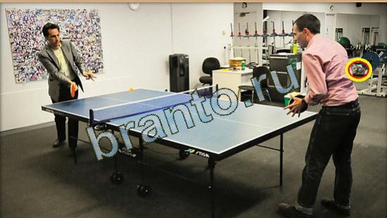 Где же кот игра ответы Уровень 3709