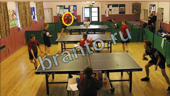 игра в одноклассниках Где же кот ответы Уровень 3710