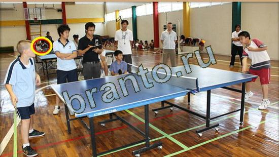 ответы на игру Где же кот в скриншотах Уровень 3712