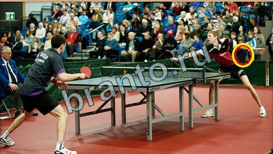 Где же кот ответы на новые задания Уровень 3713