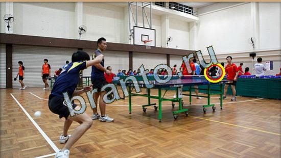 ответы на игру Где же кот Уровень 3716