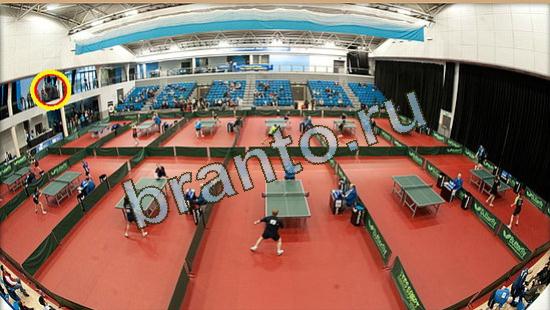 ответы в картинках на игру Где же кот Уровень 3717