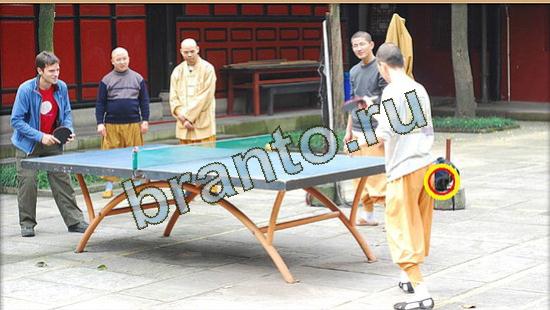 помощь на игру Где же кот Уровень 3718