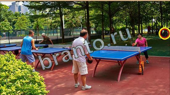 Где же кот игра ответы Уровень 3720