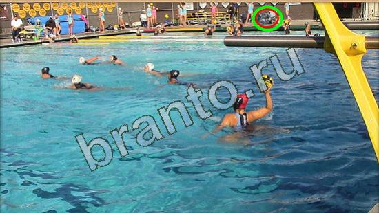 ответы на игру Где же кот Уровень 3761