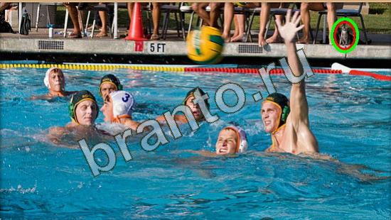 Подсказки на игру Где же кот Уровень 3762