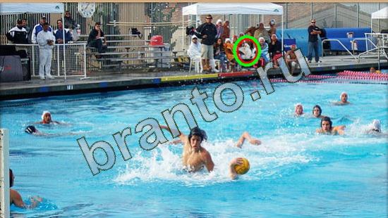 Решения на игру Где же кот Уровень 3763