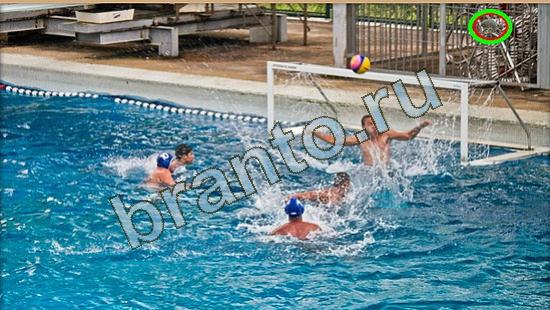 Помощь на игру Где же кот Уровень 3764