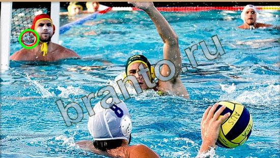 ответы к игре Где же кот Уровень 3765