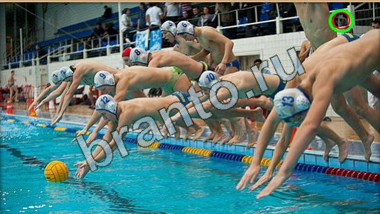 Где же кот? ответы Уровень 3768