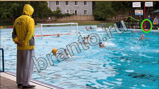 Где же кот? помощь Уровень 3770