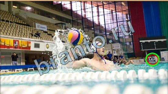 решебник на игру Где же кот Уровень 3771