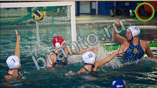 Где же кот? решения Уровень 3772