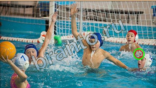 Где же кот игра ответы Уровень 3773