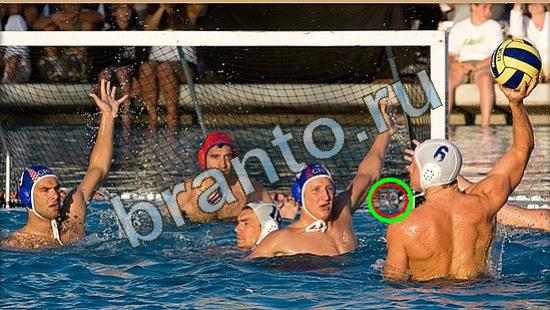 Где же кот ответы в картинках Уровень 3776