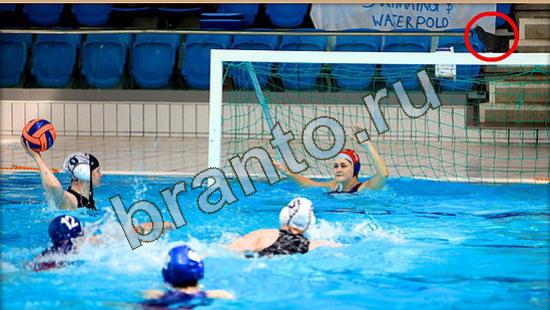 Игра Где же кот ответы Уровень 3777