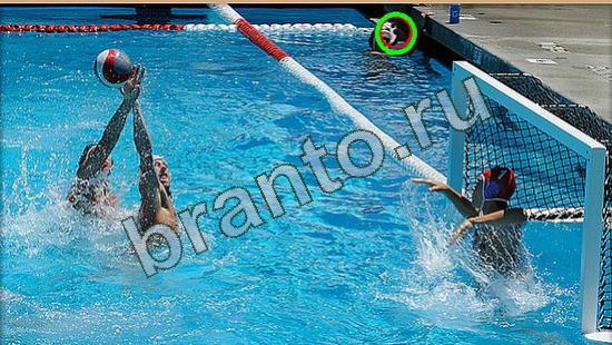 Игра Где же кот подсказки Уровень 3778