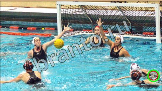 игра Где же кот помощь Уровень 3779