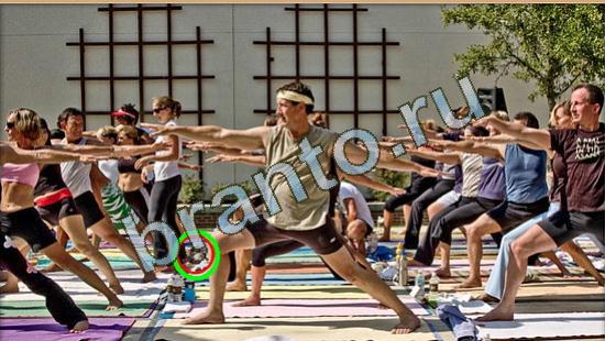 прохождение на игру Где же кот Уровень 3781